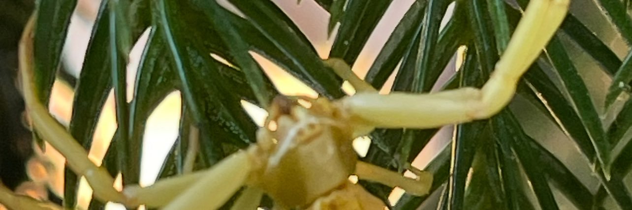 Measure Twice banner