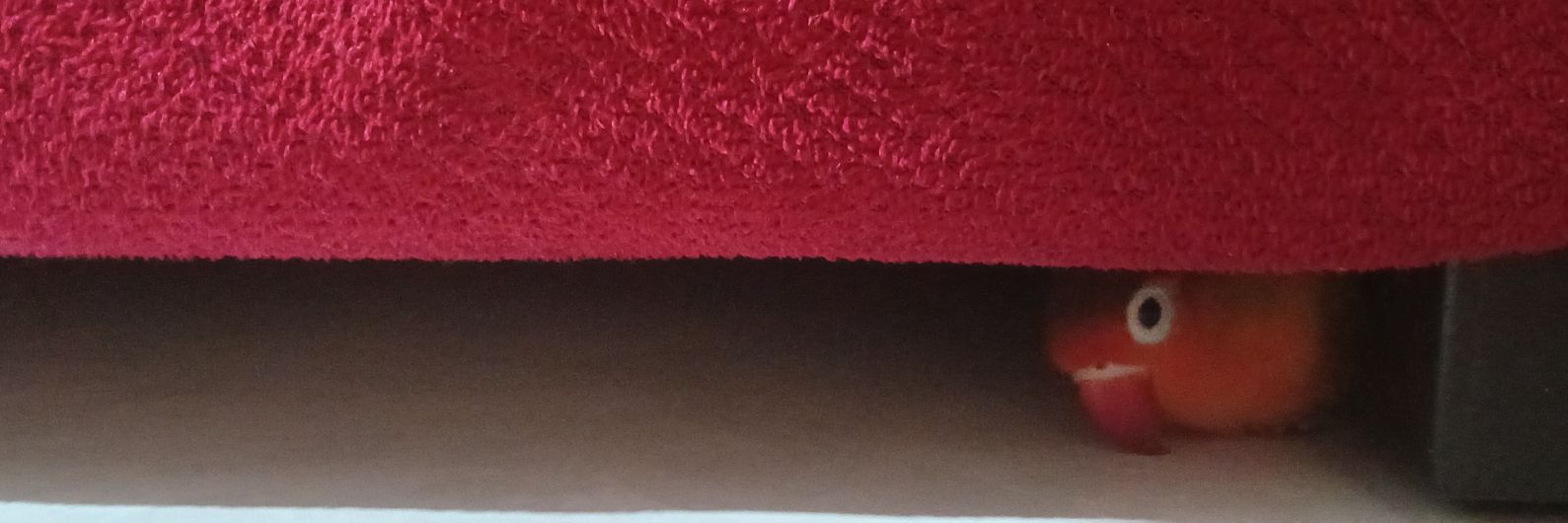 chibegamdige's profile banner image