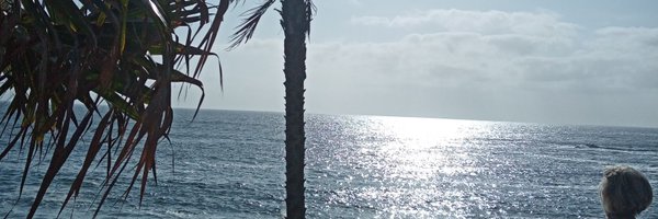 CatWoman166 Profile Banner