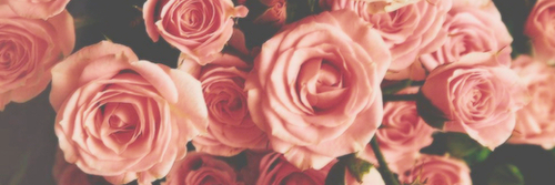 burnthisout's profile banner image