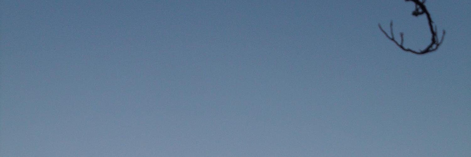 Zhou Yuguang banner