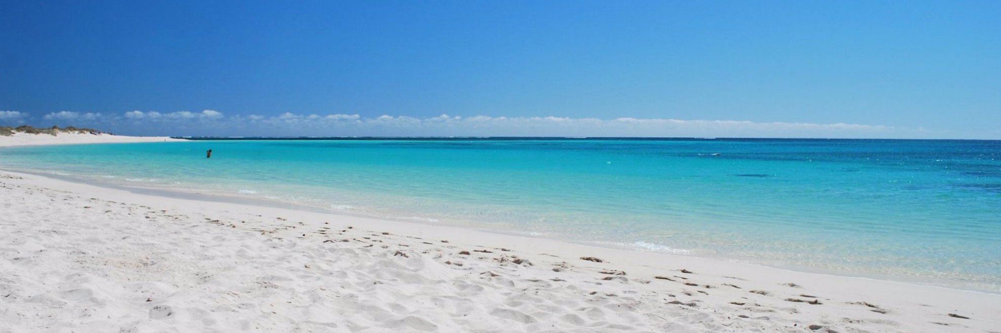 Peonia40🇮🇹🇮🇹🇮🇹 banner