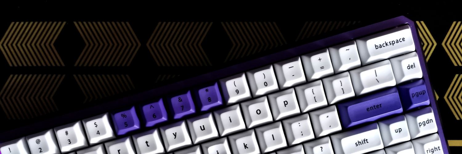Alerik_'s profile banner image