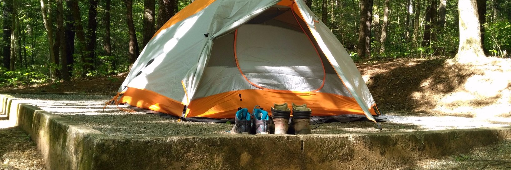 Tina Fletcher banner