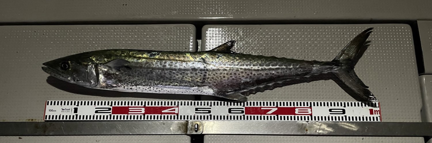 しゃけまん banner