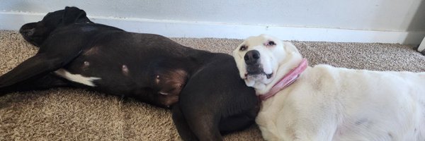 jdtitan Profile Banner