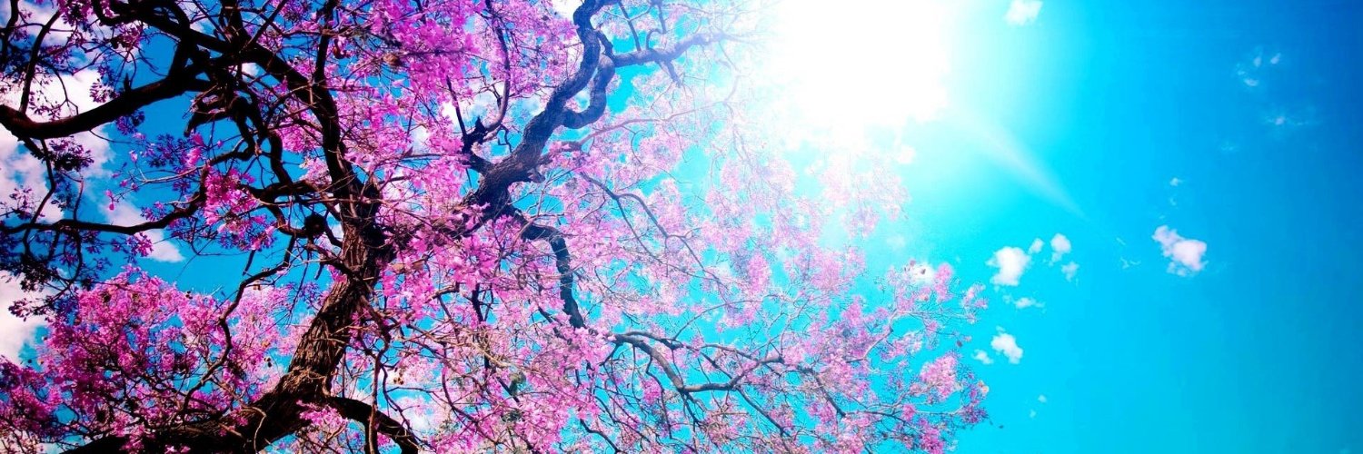 theh_msst's profile banner image