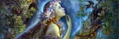 fikaarasyta's profile banner image