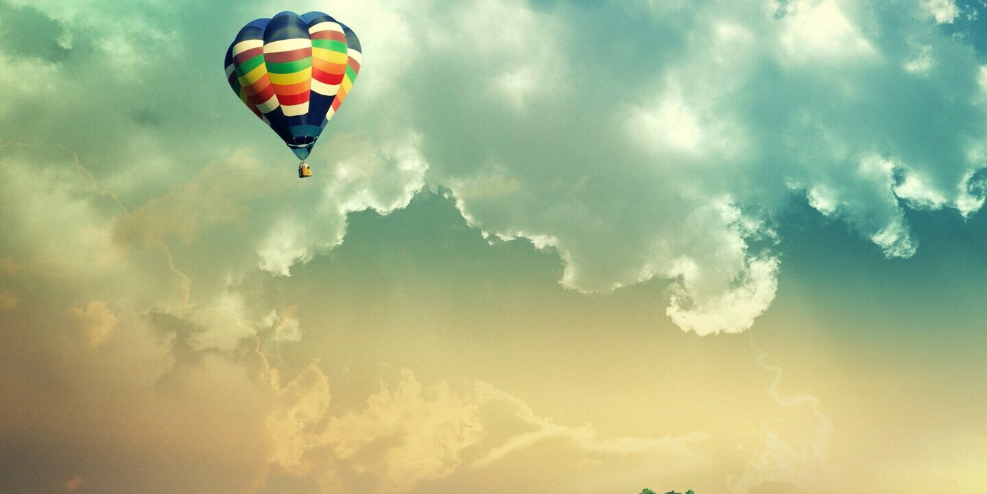 ylmazberra1's profile banner image