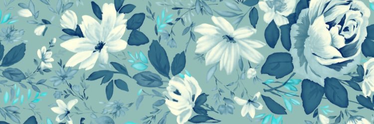 imlesleyann's profile banner image