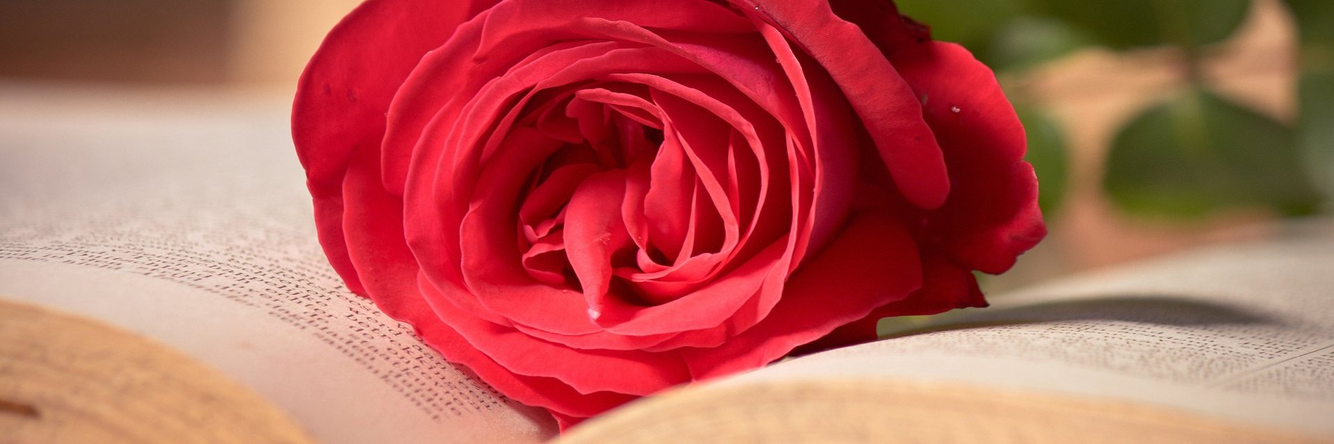 Avneesh_25's profile banner image