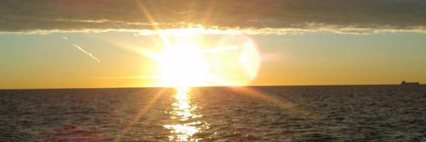 Puripedros's profile banner image