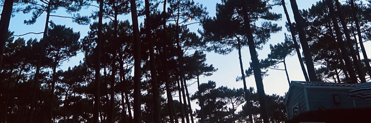 VanVestou's profile banner image