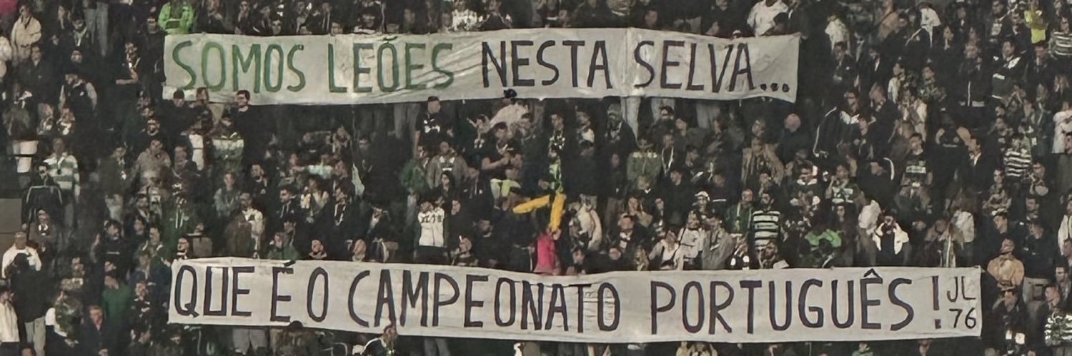 Brinquedos 🦁 banner