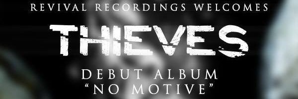 Team Thieves banner
