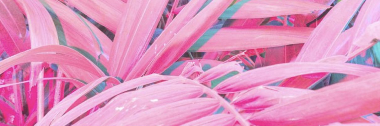 mlsvincent's profile banner image
