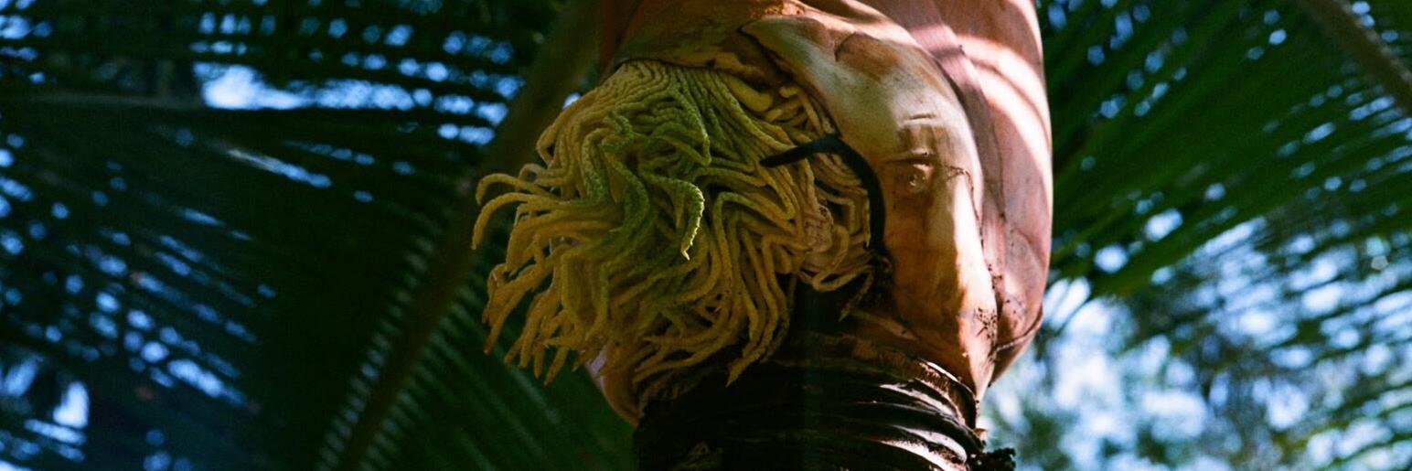 Charles (Pico) Rickleton banner