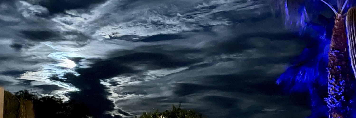 thetrialwatcher's profile banner image