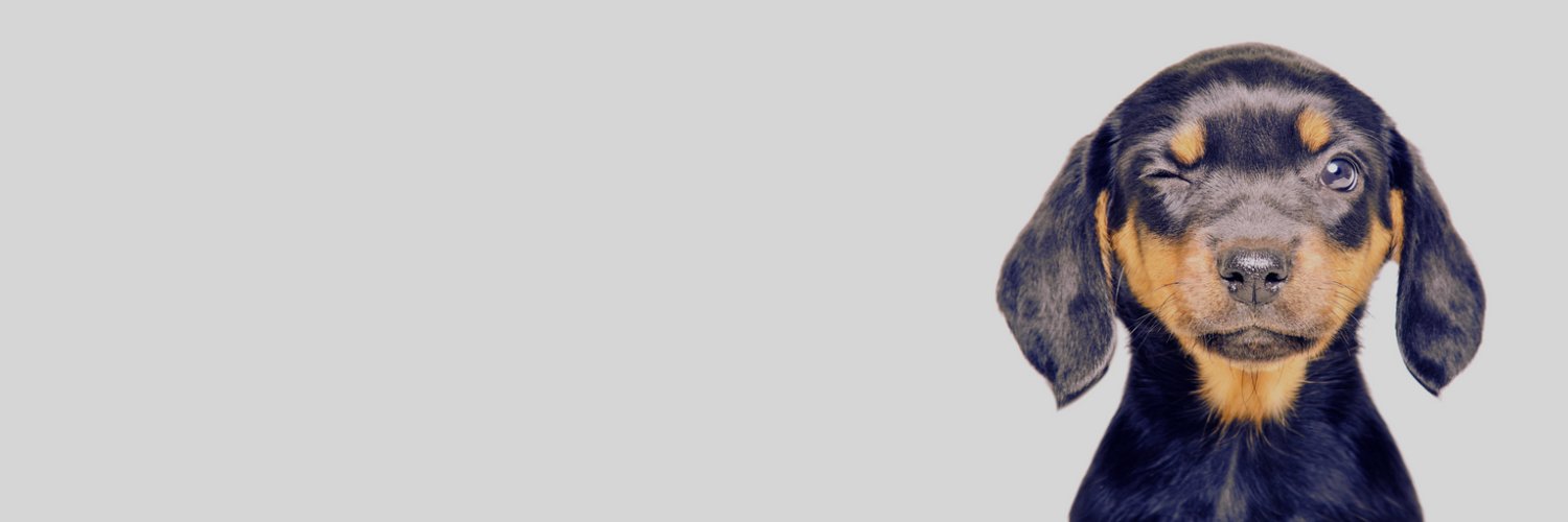 BrightLeafRec's profile banner image