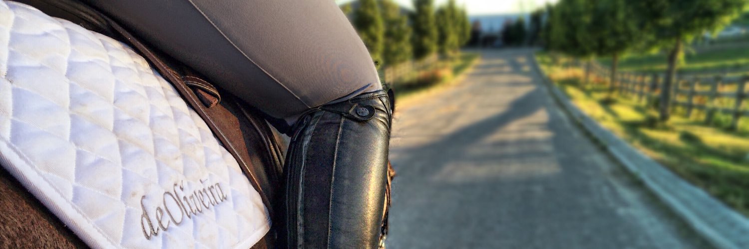 elegantlyeq's profile banner image