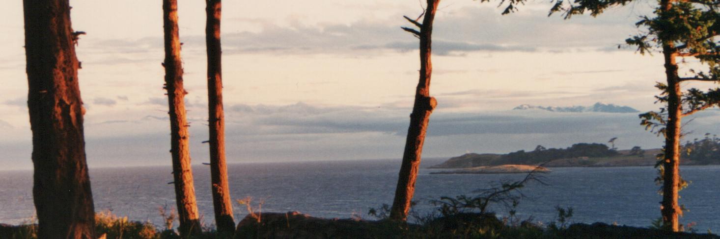 afuller's profile banner image
