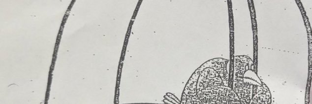 Somefoko's profile banner image