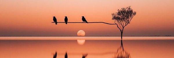 Meschaqkmi Profile Banner