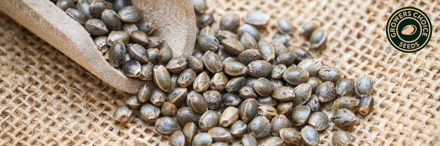 Growers Choice Seeds banner