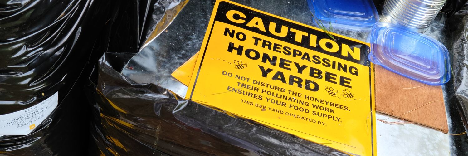 Rebecca Mancini banner