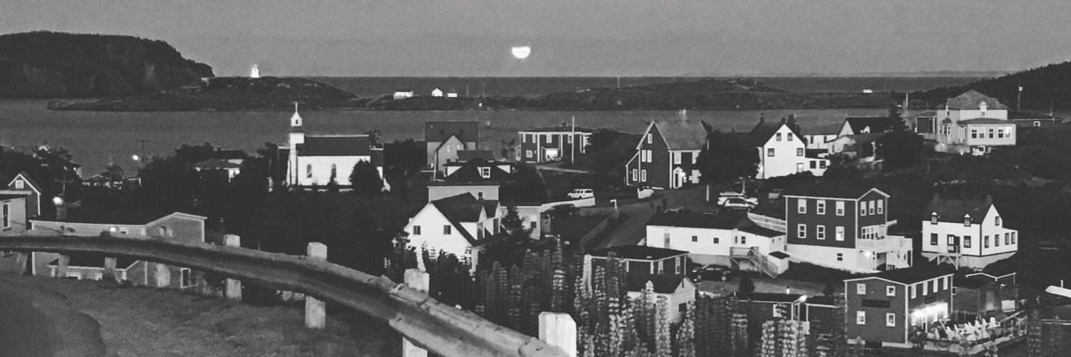 Ms. Kathryn Johnson 👩🏼‍🏫 banner