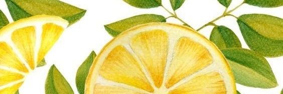 bearsuelgi_'s profile banner image