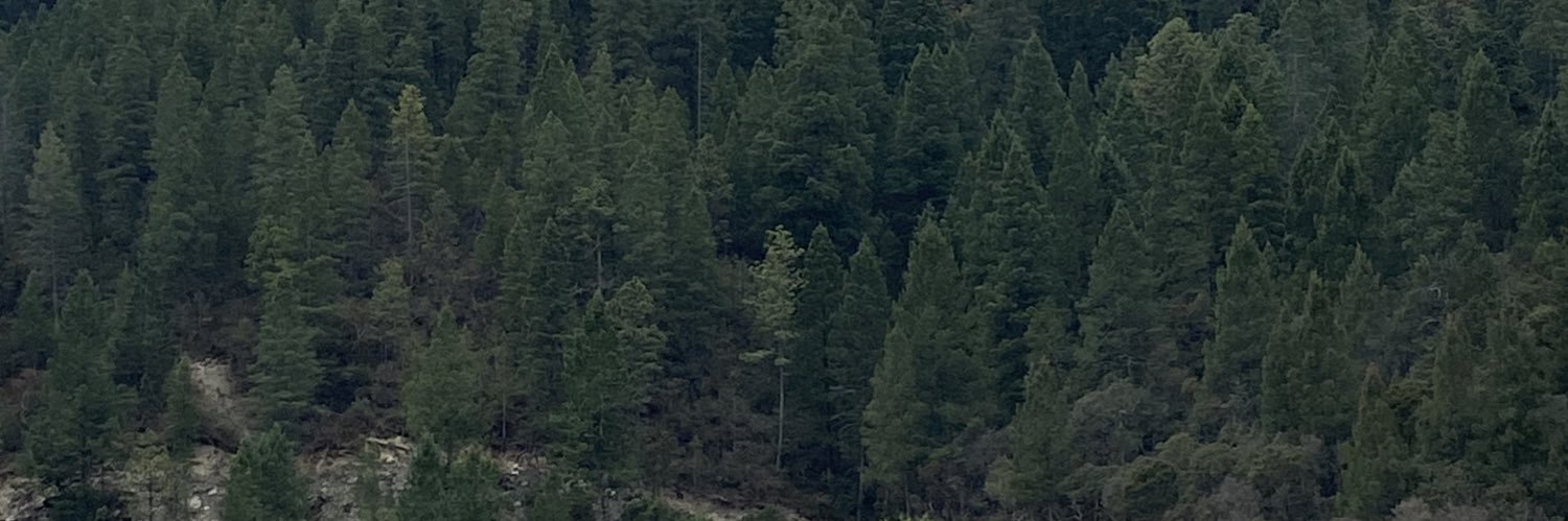 sergio_tm's profile banner image
