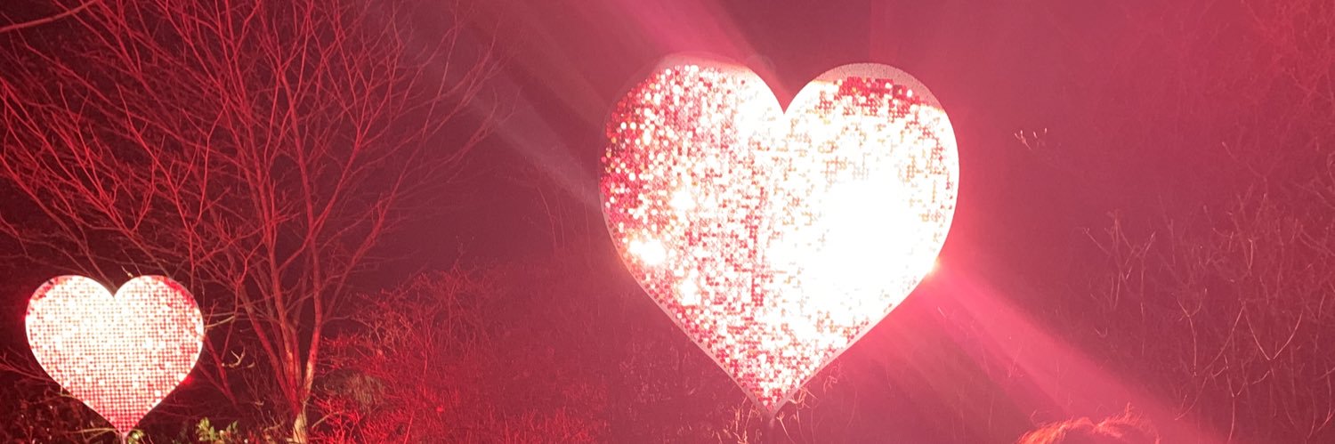 AlyeishaLears's profile banner image