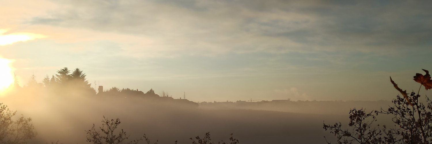 Ana Fernández d Vega banner
