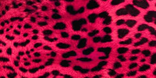 Howerska's profile banner image