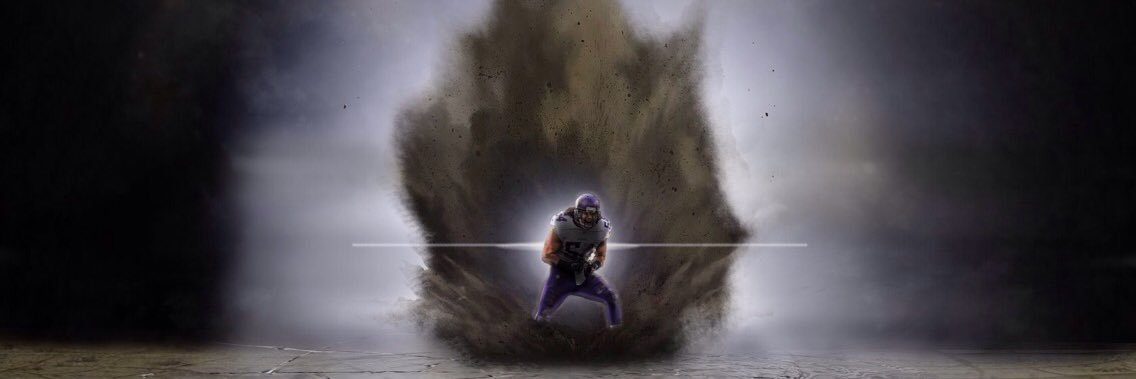 VikingsGraphics banner