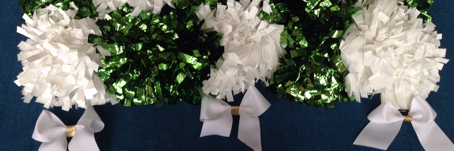 EFHS_cheer's profile banner image