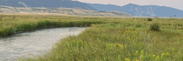 LifeSpeak Profile Banner