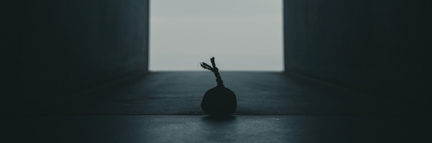 TATSUYA ABE | Cattleyatokyo™︎ banner