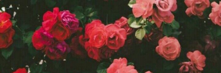 bitchesbecrazy_'s profile banner image