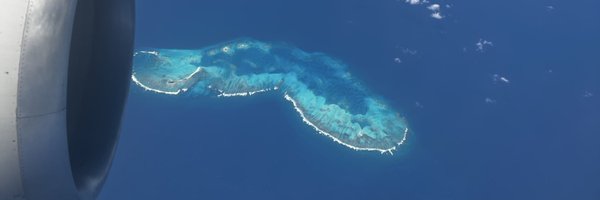 pauaraujonog Profile Banner