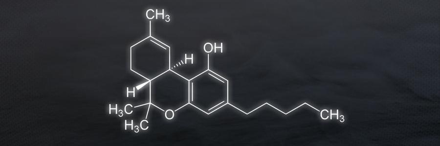 TheFuckingNice's profile banner image