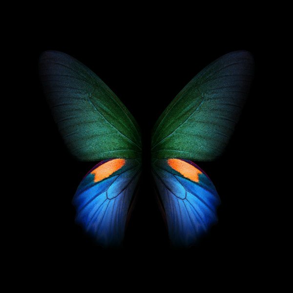 AntRoid81's profile banner image