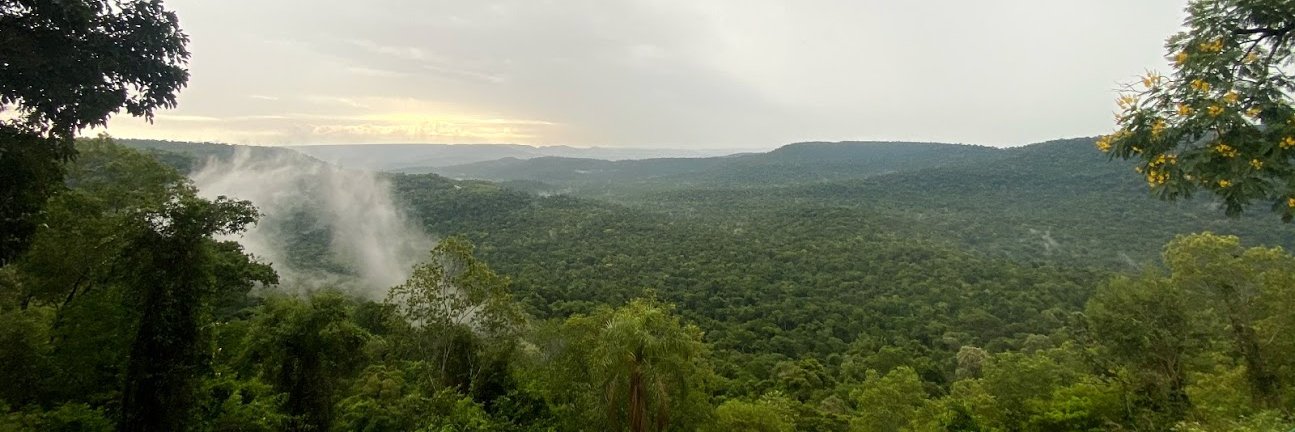 Walter Franck banner