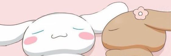 indoorcatt's profile banner image
