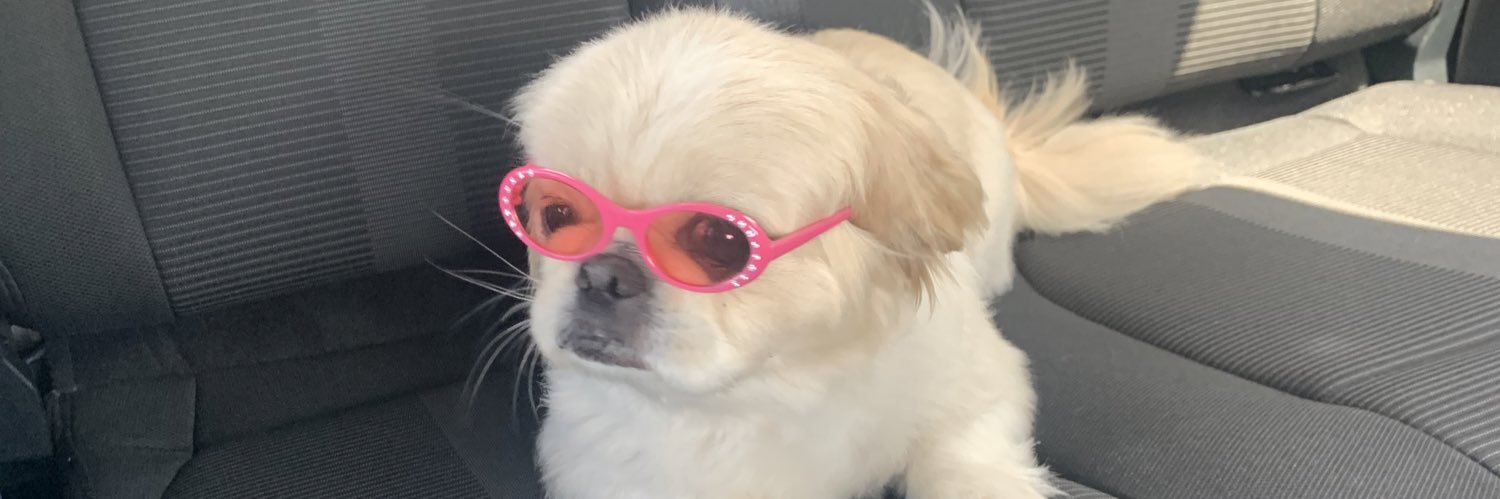 tldls__'s profile banner image
