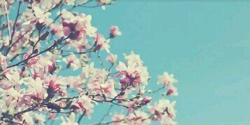 TaniaCouselo's profile banner image