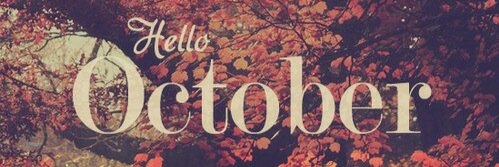 BloomCassy's profile banner image