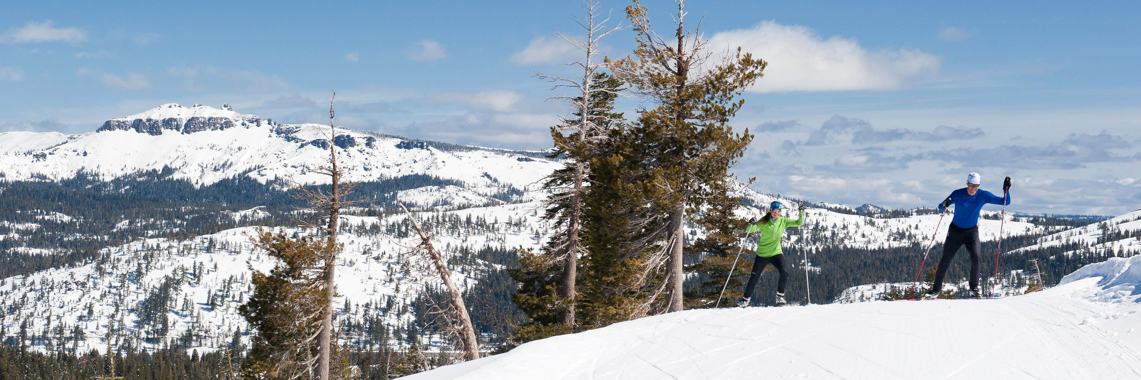 royalgorgexc's profile banner image