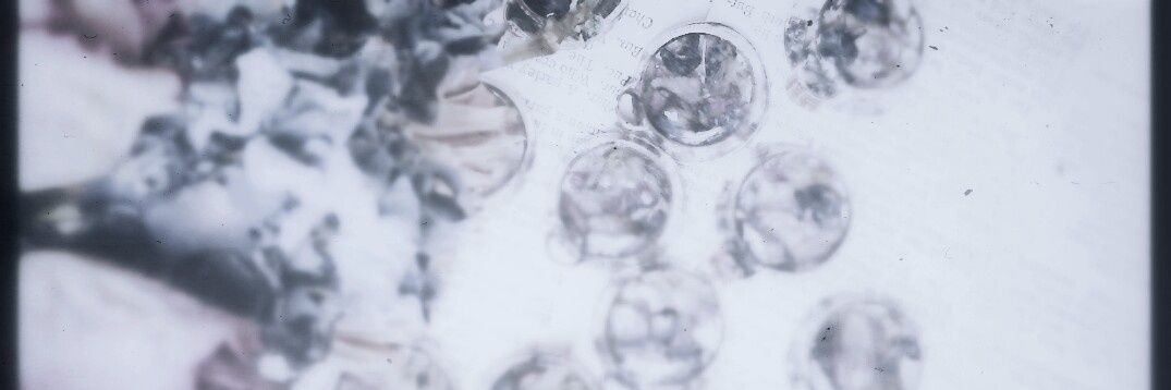 BooScience's profile banner image